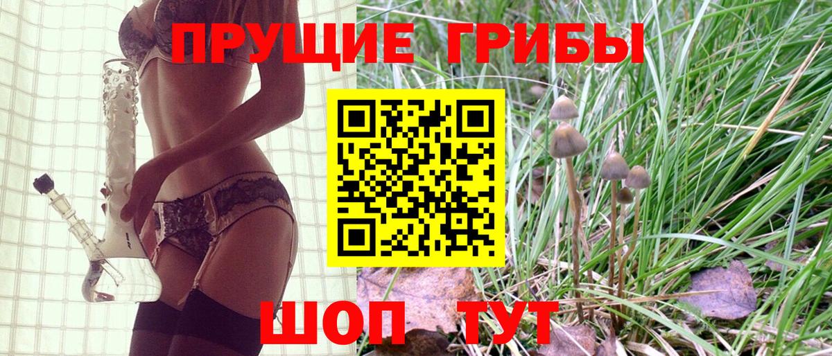 Псилоцибиновые грибы Psilocybe  Вход с VPN  Ступино 